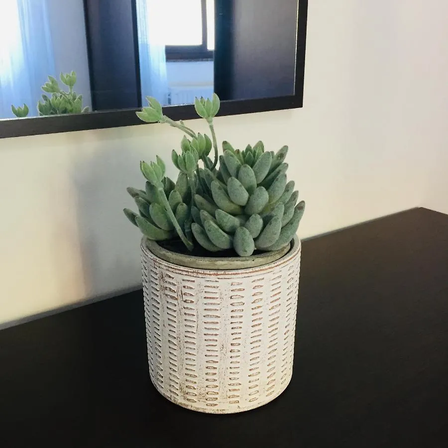 Apartmán Casa Primavera Bordighera Itálie
